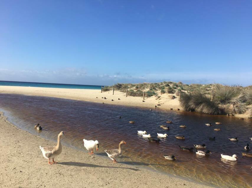 El Descanso *